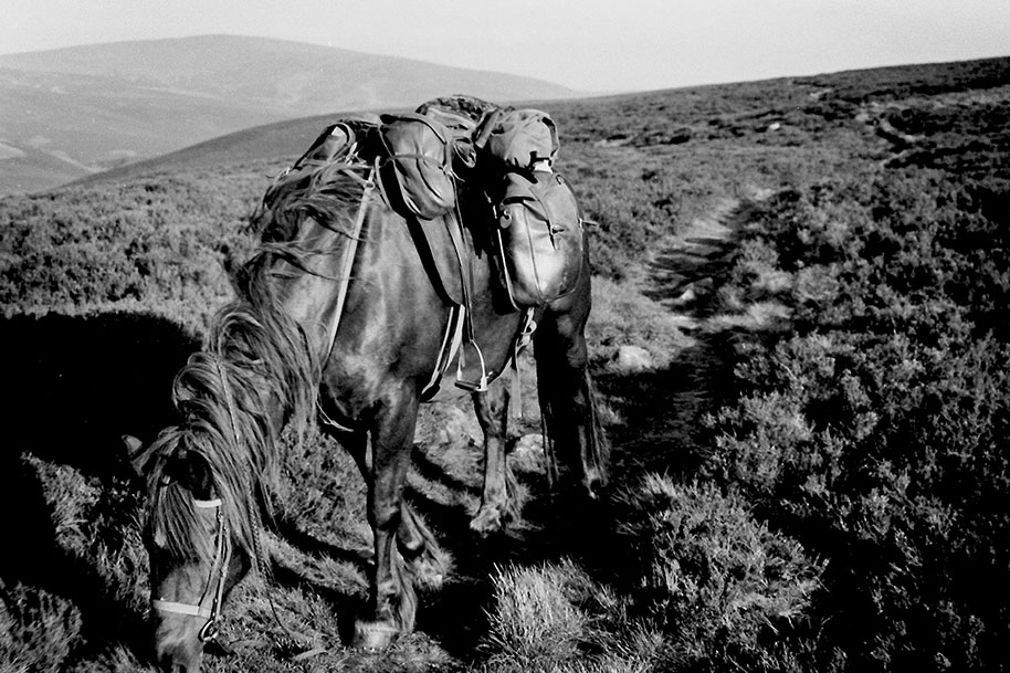 Collage of photos of horse,saddle and road from Eye on the Hill: Horse Travels in Britain