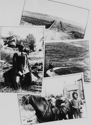 Collage of photos of horse,saddle and road from Eye on the Hill: Horse Travels in Britain